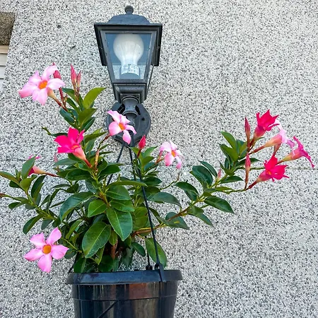 Panoramic Διαμέρισμα Μιλάνο